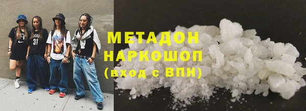 прущие грибы Лабытнанги