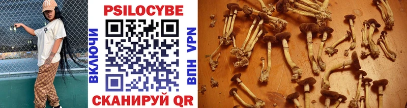 как найти наркотики  Яхрома  Галлюциногенные грибы Cubensis 